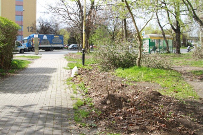 znikneo-przejscie-strachu-foto-51735