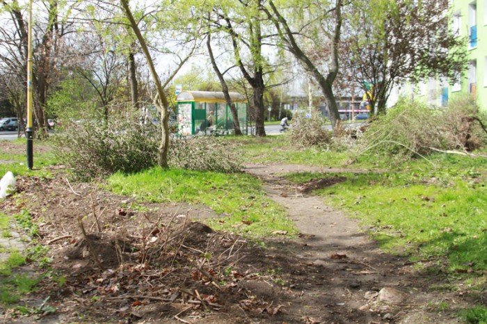 znikneo-przejscie-strachu-foto-51735