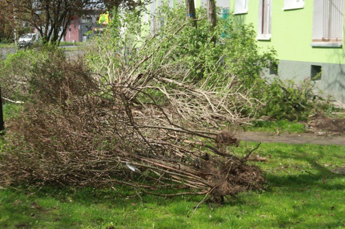 znikneo-przejscie-strachu-foto-51735