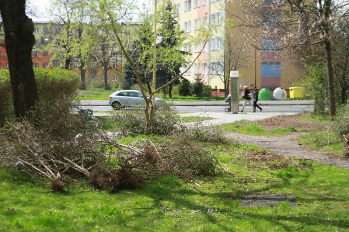 znikneo-przejscie-strachu-foto-51735