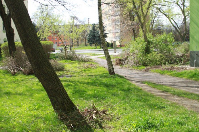 znikneo-przejscie-strachu-foto-51735