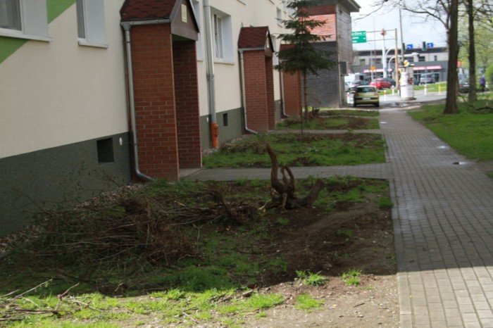 znikneo-przejscie-strachu-foto-51735