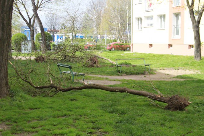 znikneo-przejscie-strachu-foto-51735