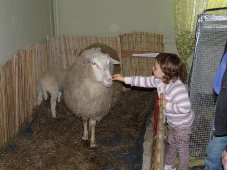 gwarno-i-wesoo-podczas-dni-baby-wielkanocnej-w-piechowicach-foto-51778