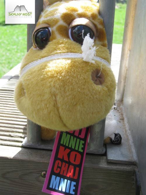 akcja-z-pluszakami-przeciwko-przemocy-wobec-dzieci-foto-51779