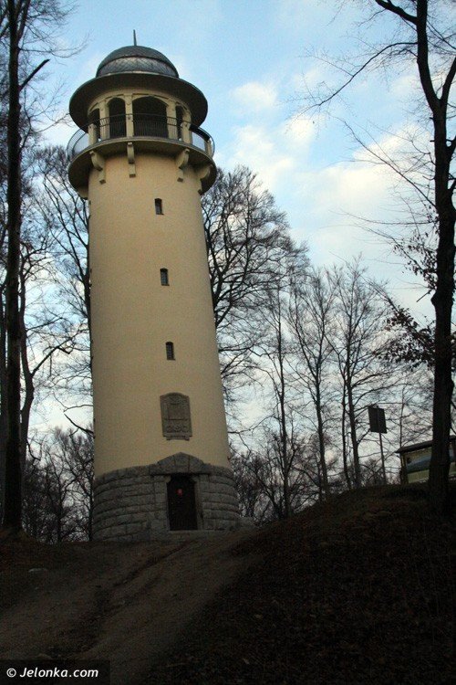 kto-chce-grzybka-na-100-lat-foto-51794