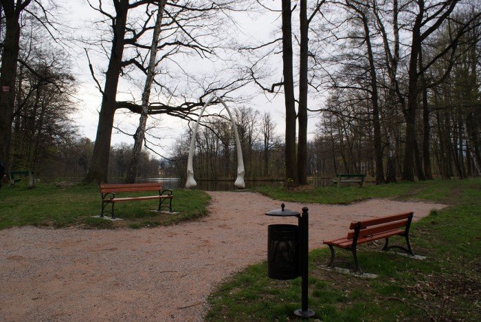 szczeki-wieloryba-wrociy-do-parku-w-mysakowicach-foto-51800