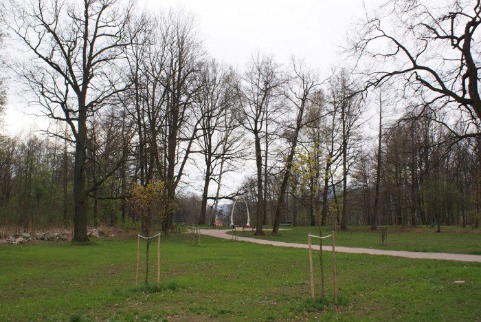 szczeki-wieloryba-wrociy-do-parku-w-mysakowicach-foto-51800