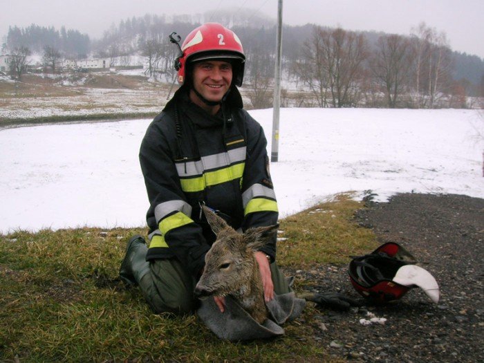 strazacy-ratownicy-mistrzowie-foto-51830