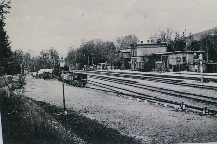 historia-kowar-w-piguce-foto-51892
