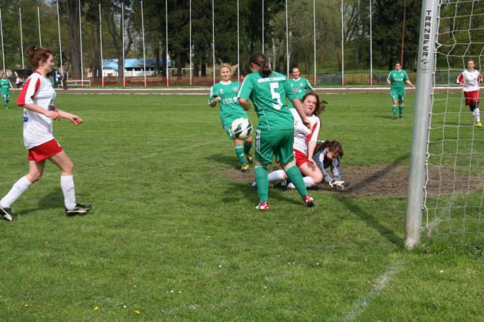 orlik-gromi-legnicka-miedz-foto-51898