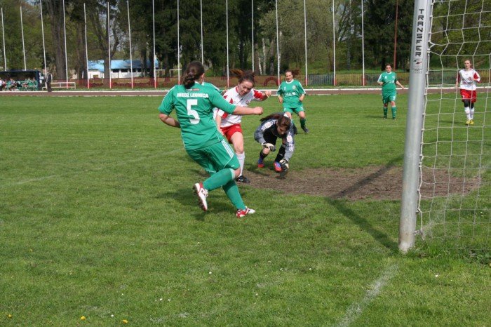 orlik-gromi-legnicka-miedz-foto-51898