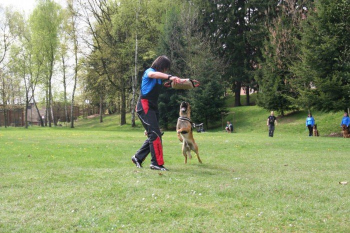 za-nami-druga-rata-maratonu-kpsw-foto-51899