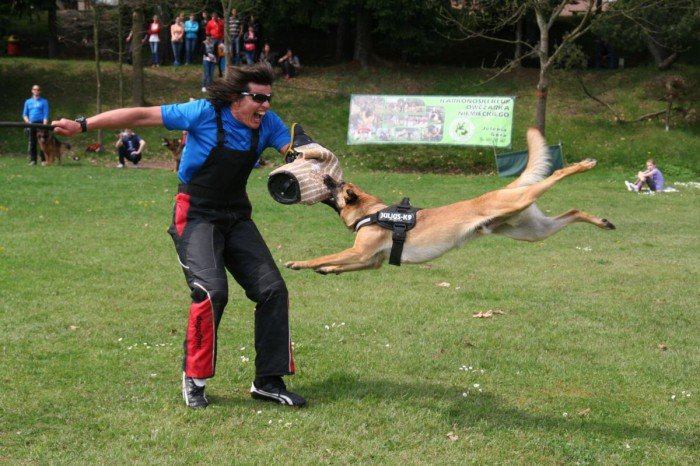 za-nami-druga-rata-maratonu-kpsw-foto-51899