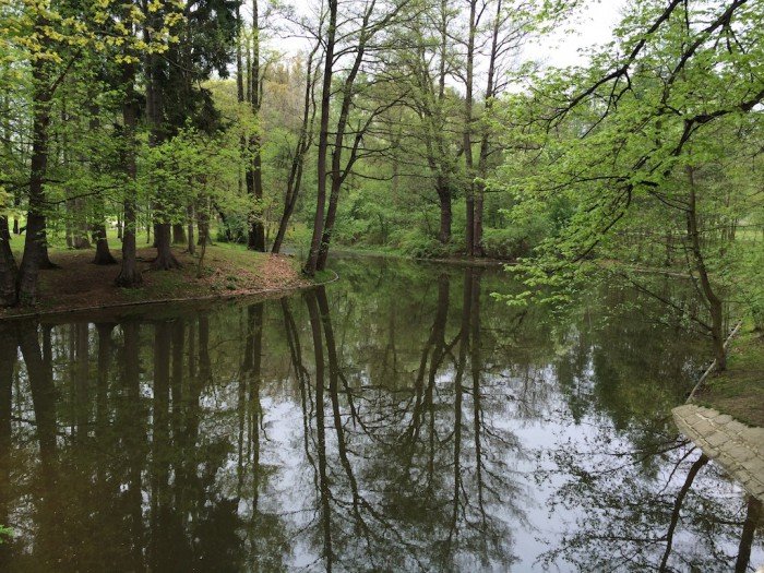 piekny-park-wymaga-wielu-zabiegow-codziennie-foto-51957