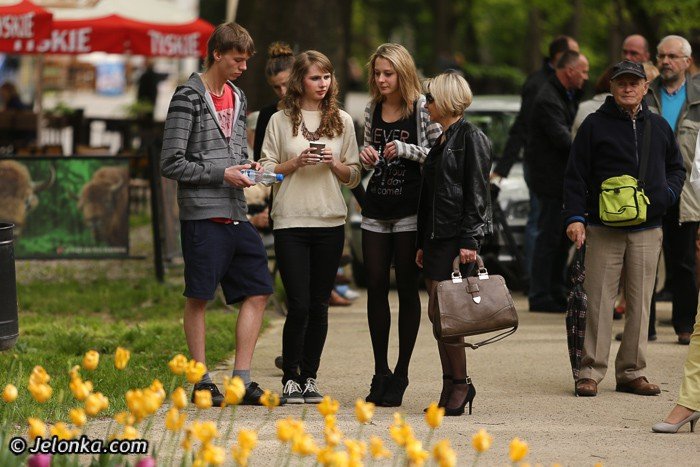 mode-talenty-solidarnie-z-ukraina-foto-52104