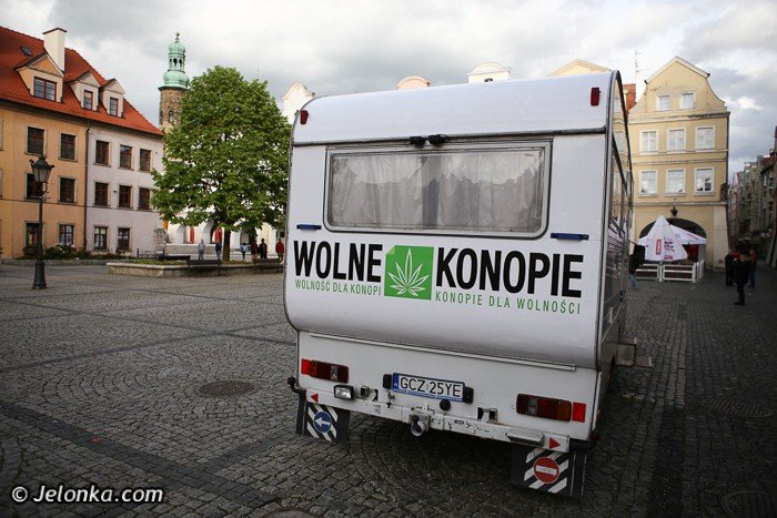 gandziobus-zawita-do-jeleniej-gory-foto-52107