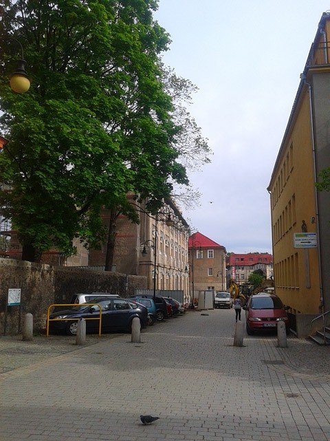 efektowny-bulwar-przy-kamiennej-w-cieplicach-foto-52195