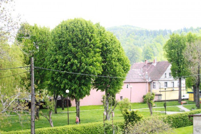 w-piechowicach-strach-przed-pedofilem-foto-52211