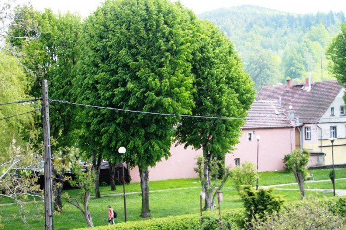 w-piechowicach-strach-przed-pedofilem-foto-52211