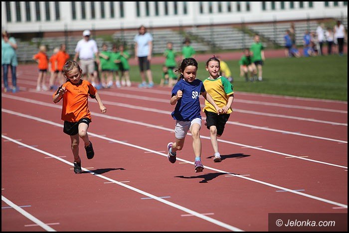 fotorelacja-z-trojboju-lekkoatletycznego-foto-52238