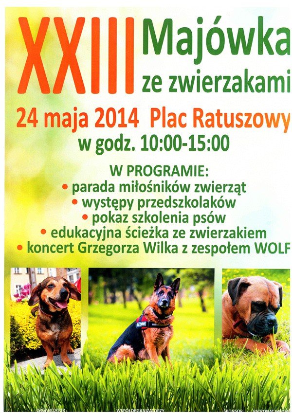 juz-jutro-xxiii-majowka-ze-zwierzakami-52266