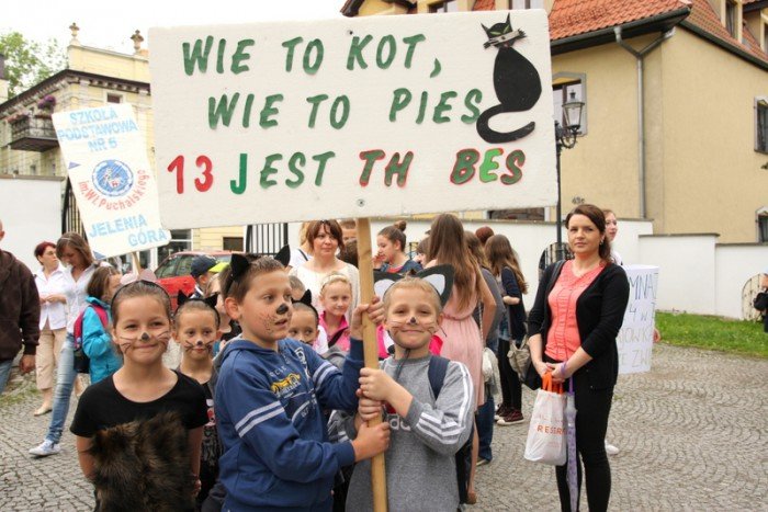 radosna-majowka-ze-zwierzakami-foto-52293