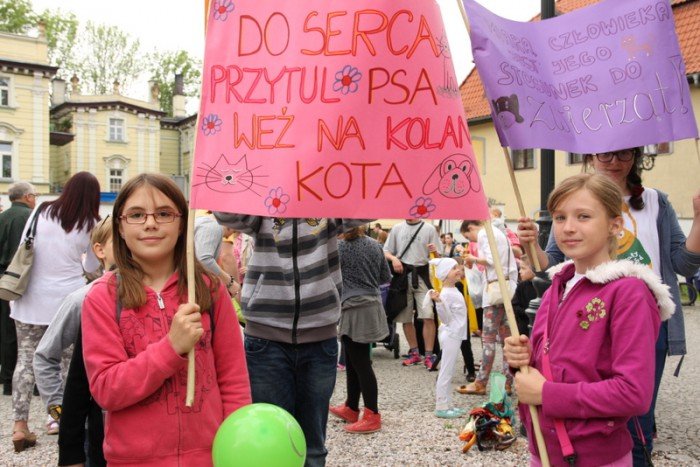 radosna-majowka-ze-zwierzakami-foto-52293