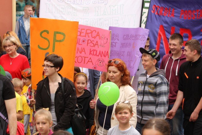 radosna-majowka-ze-zwierzakami-foto-52293