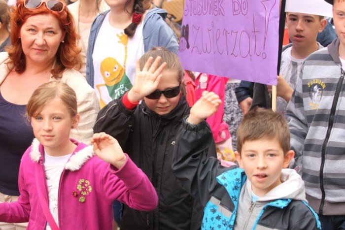 radosna-majowka-ze-zwierzakami-foto-52293