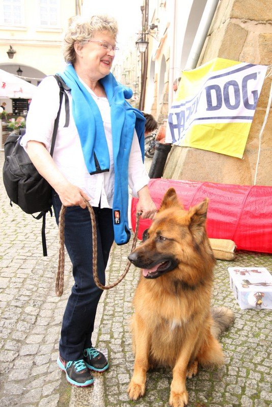 radosna-majowka-ze-zwierzakami-foto-52293