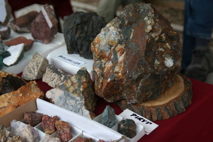 odwiedzajacy-giede-podziwiali-mineray-i-skamieniaosci-foto-52295