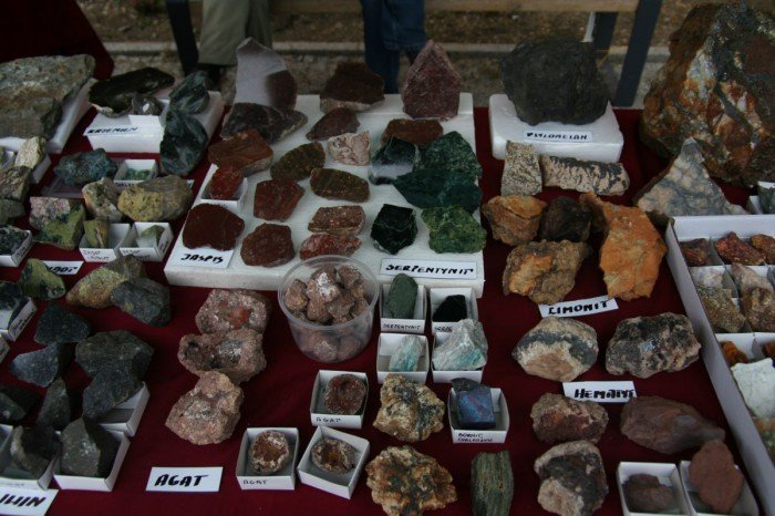 odwiedzajacy-giede-podziwiali-mineray-i-skamieniaosci-foto-52295