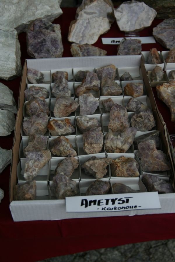 odwiedzajacy-giede-podziwiali-mineray-i-skamieniaosci-foto-52295