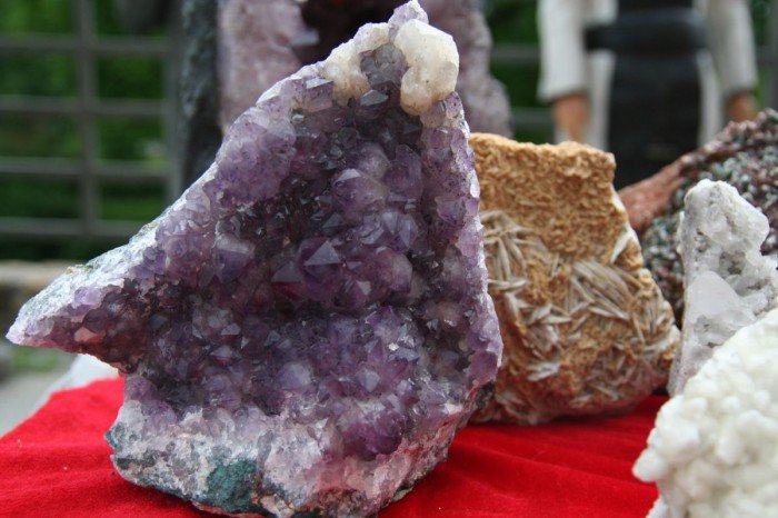 odwiedzajacy-giede-podziwiali-mineray-i-skamieniaosci-foto-52295