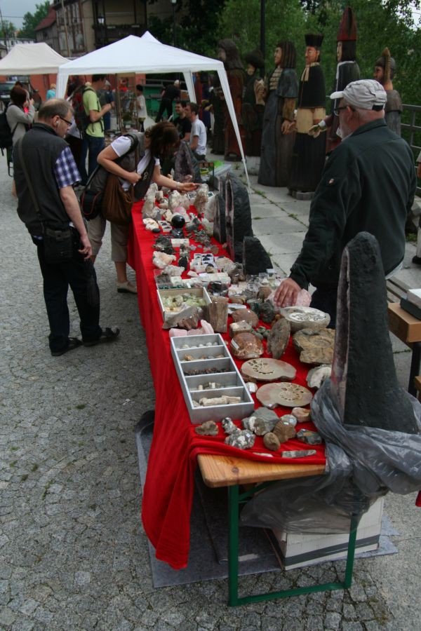 odwiedzajacy-giede-podziwiali-mineray-i-skamieniaosci-foto-52295
