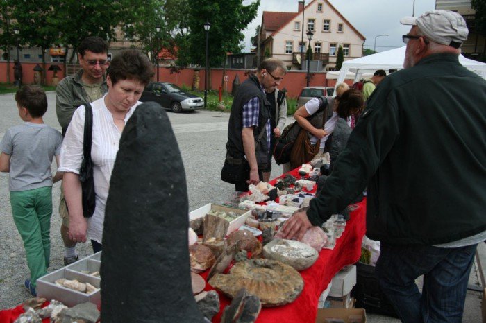 odwiedzajacy-giede-podziwiali-mineray-i-skamieniaosci-foto-52295