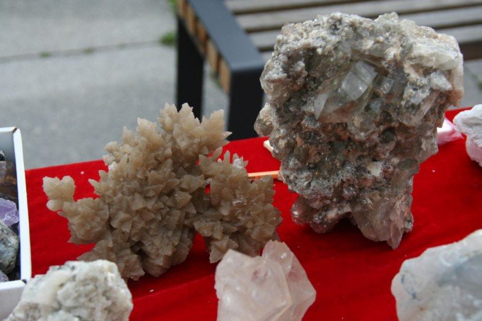 odwiedzajacy-giede-podziwiali-mineray-i-skamieniaosci-foto-52295