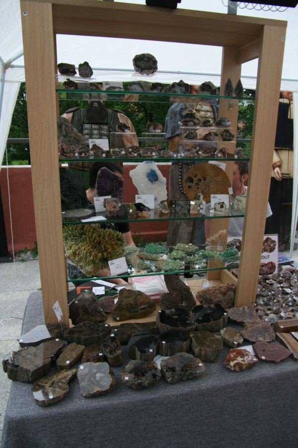 odwiedzajacy-giede-podziwiali-mineray-i-skamieniaosci-foto-52295