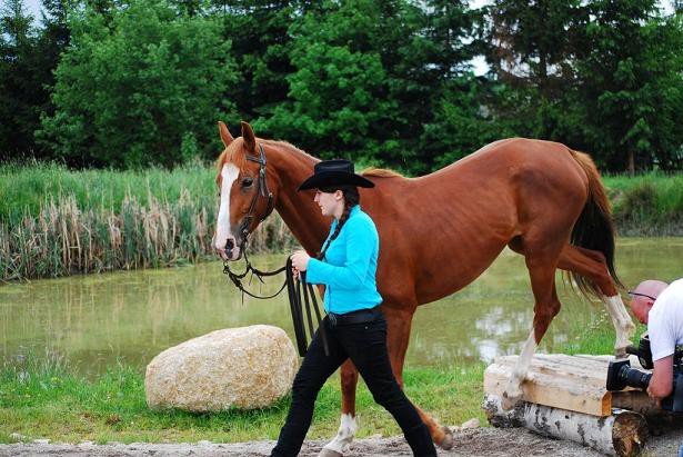 udany-extreme-trail-show-w-komarnie-foto-52315