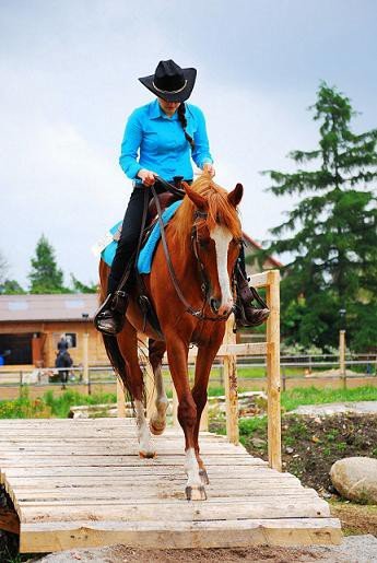 udany-extreme-trail-show-w-komarnie-foto-52315