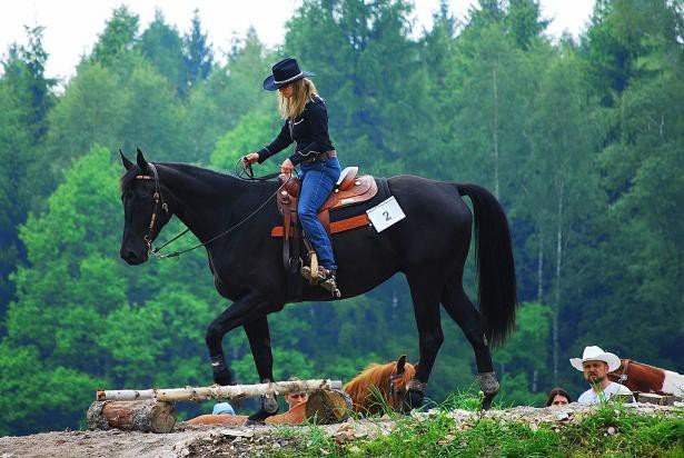 udany-extreme-trail-show-w-komarnie-foto-52315