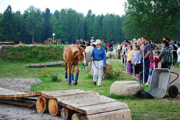 udany-extreme-trail-show-w-komarnie-foto-52315