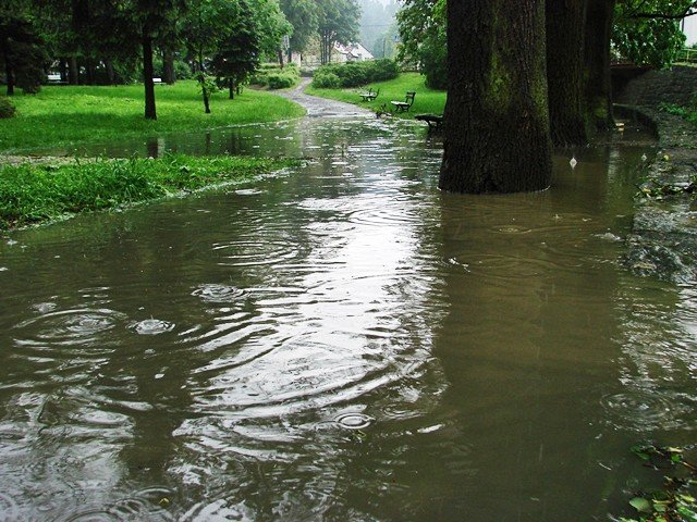 ulewa-narobia-szkod-setki-zgoszen-o-podtopieniach-foto-52328