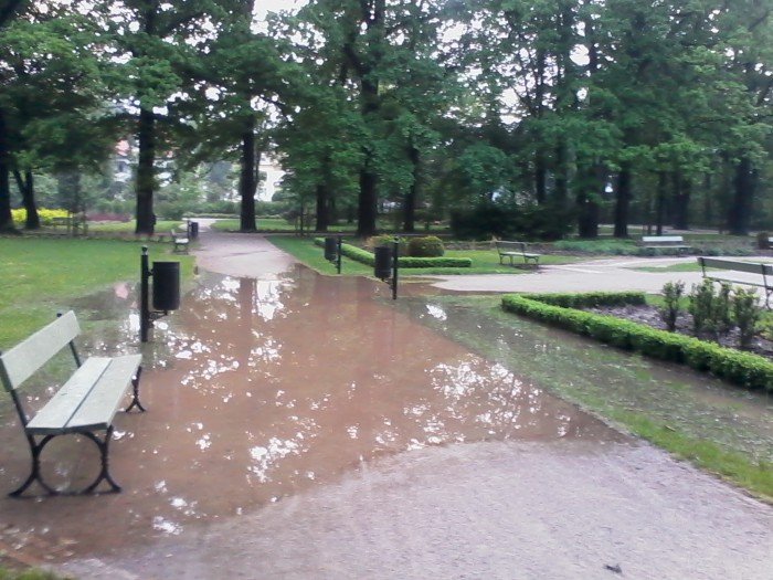 po-wczorajszej-ulewie-galeria-czytelnikow-foto-52329