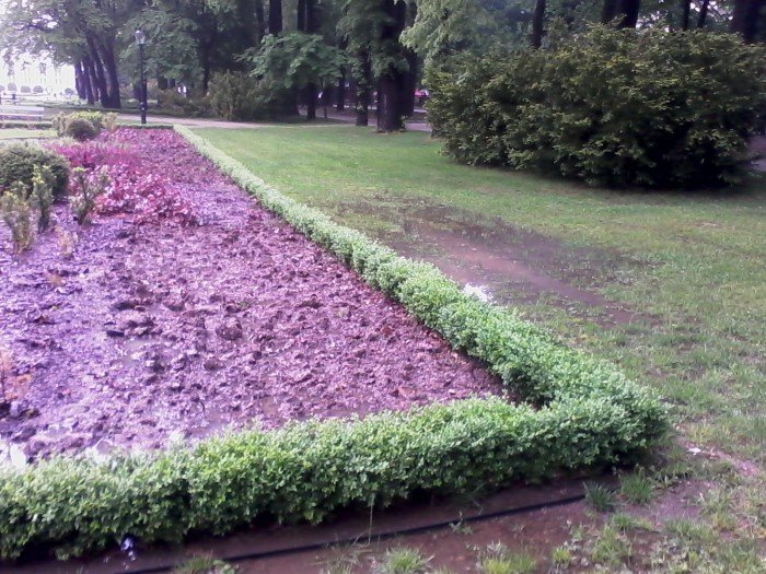 po-wczorajszej-ulewie-galeria-czytelnikow-foto-52329