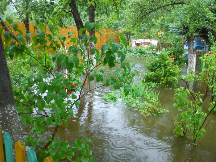 po-wczorajszej-ulewie-galeria-czytelnikow-foto-52329