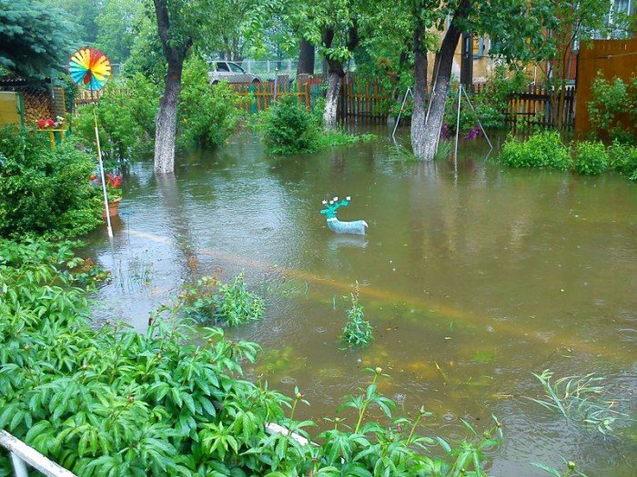 po-wczorajszej-ulewie-galeria-czytelnikow-foto-52329