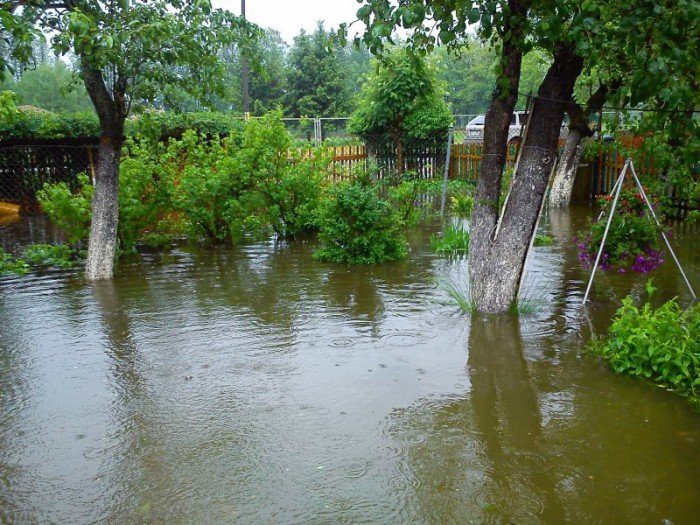 po-wczorajszej-ulewie-galeria-czytelnikow-foto-52329