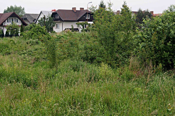 wasciciel-placu-na-zabobrzu-iii-wykosi-chaszcze-foto-52359